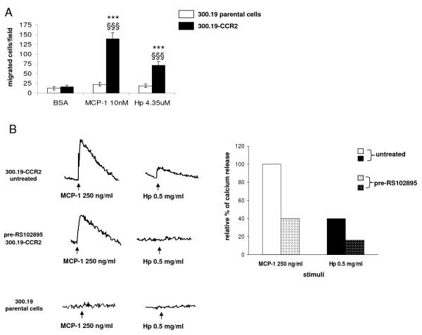 https://cdn.ncbi.nlm.nih.gov/pmc/blobs/1257/2809058/0cb2c1434efe/1741-7007-7-87-2.jpg