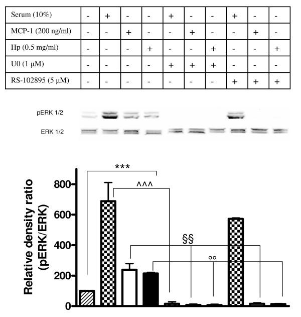https://cdn.ncbi.nlm.nih.gov/pmc/blobs/1257/2809058/b1587a273967/1741-7007-7-87-7.jpg