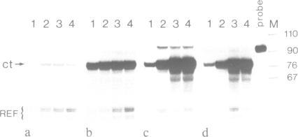 https://cdn.ncbi.nlm.nih.gov/pmc/blobs/1257/336828/944f4517bb1d/nar00156-0078-a.jpg