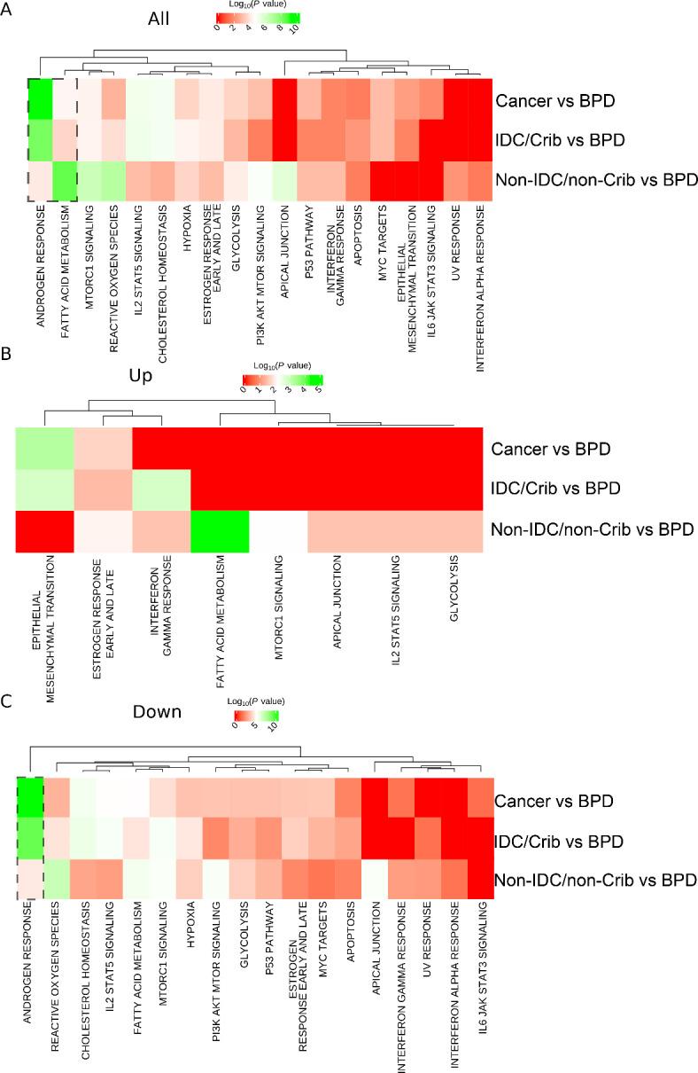 https://cdn.ncbi.nlm.nih.gov/pmc/blobs/1259/11500006/edb1b234df39/41598_2024_75272_Fig6_HTML.jpg