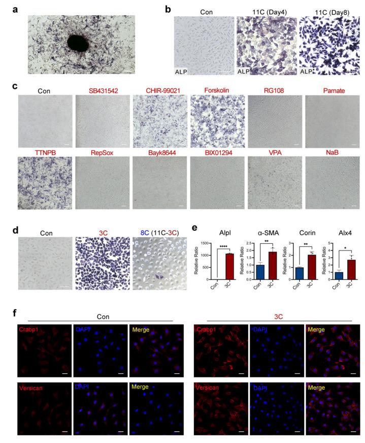 https://cdn.ncbi.nlm.nih.gov/pmc/blobs/1259/9030401/3f7233f3943b/ijms-23-04213-g001.jpg