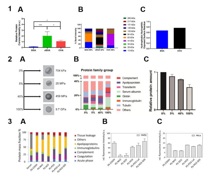 https://cdn.ncbi.nlm.nih.gov/pmc/blobs/125a/12250702/1086a2fe4e4a/nanomaterials-15-01013-g003.jpg