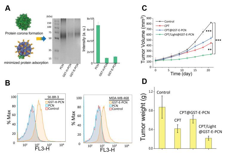 https://cdn.ncbi.nlm.nih.gov/pmc/blobs/125a/12250702/18cf84344a27/nanomaterials-15-01013-g006.jpg