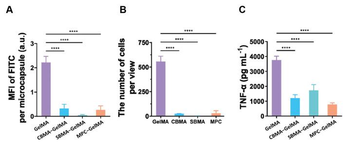 https://cdn.ncbi.nlm.nih.gov/pmc/blobs/125a/12250702/6e8373371637/nanomaterials-15-01013-g005.jpg