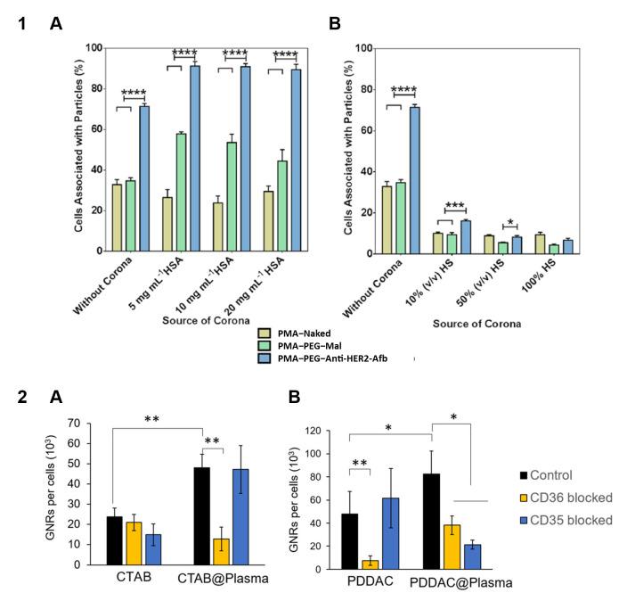 https://cdn.ncbi.nlm.nih.gov/pmc/blobs/125a/12250702/aa34f5891610/nanomaterials-15-01013-g007.jpg