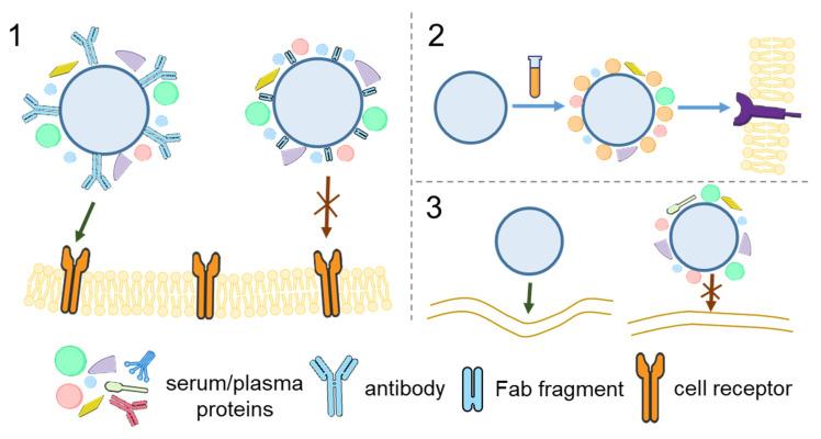 https://cdn.ncbi.nlm.nih.gov/pmc/blobs/125a/12250702/b0366036fa55/nanomaterials-15-01013-g008.jpg