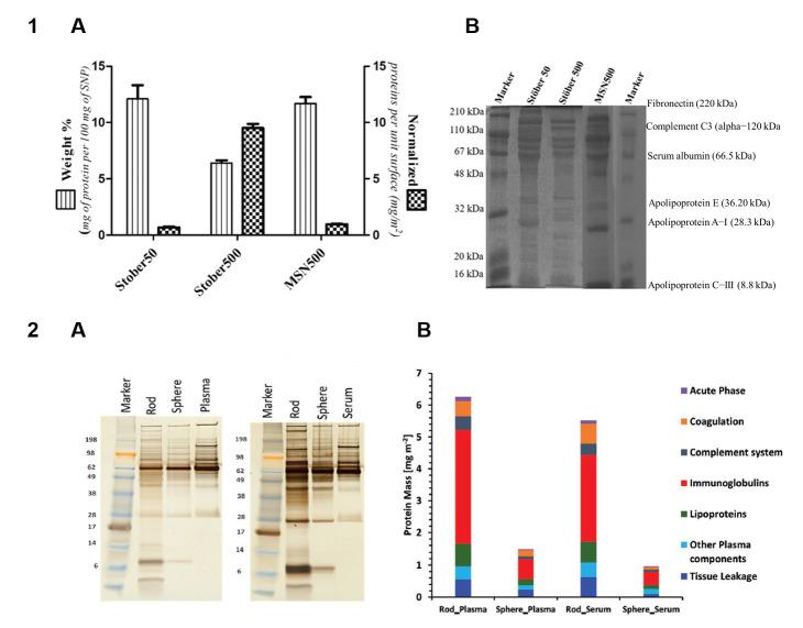 https://cdn.ncbi.nlm.nih.gov/pmc/blobs/125a/12250702/b5e085c14f92/nanomaterials-15-01013-g001.jpg