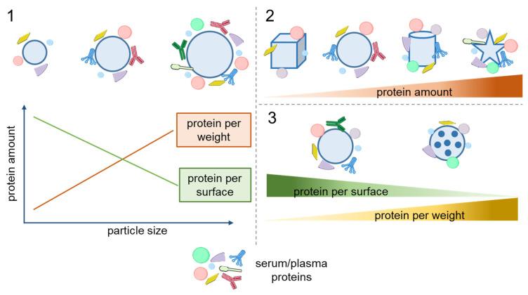 https://cdn.ncbi.nlm.nih.gov/pmc/blobs/125a/12250702/c2d0f336ee2b/nanomaterials-15-01013-g002.jpg