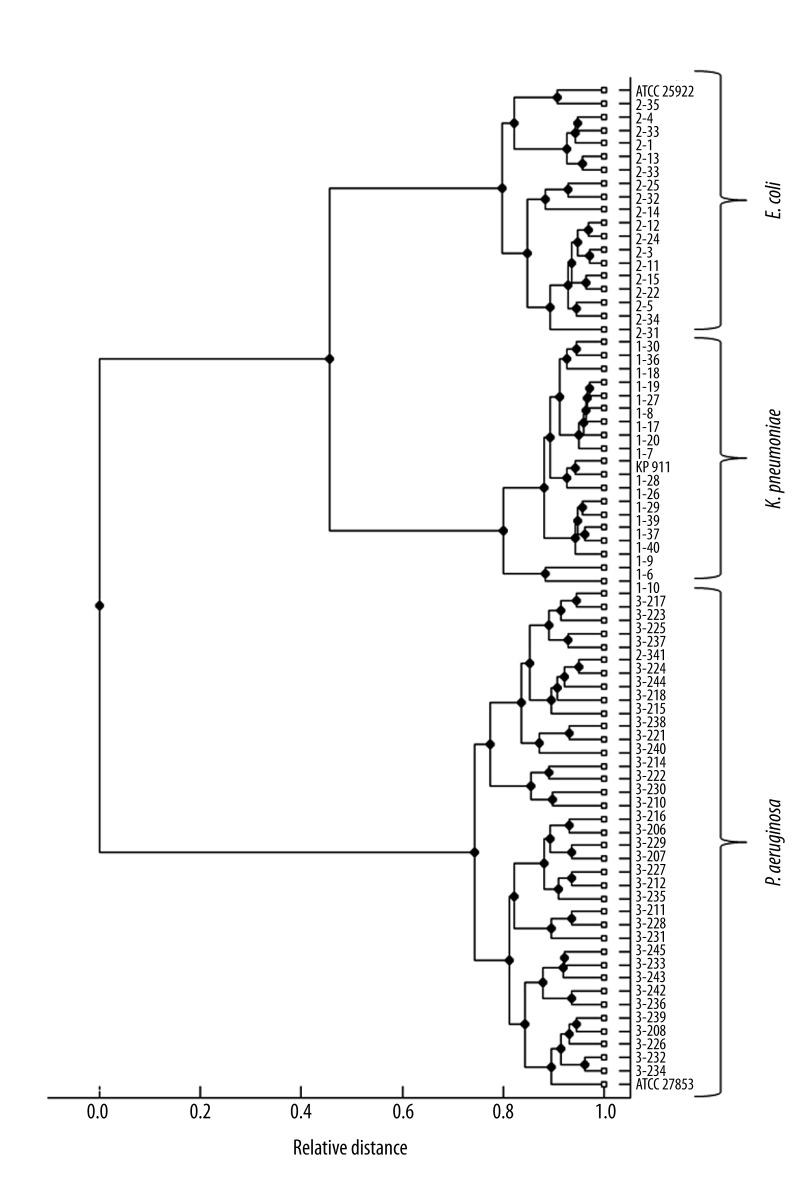 https://cdn.ncbi.nlm.nih.gov/pmc/blobs/125a/3560646/db61ccf86476/medscimonit-18-9-MT71-g001.jpg