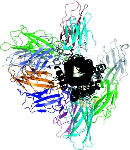 https://cdn.ncbi.nlm.nih.gov/pmc/blobs/125b/1347461/376dc53ee235/gkj099f2.jpg