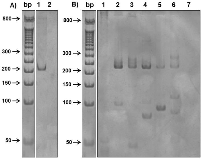 https://cdn.ncbi.nlm.nih.gov/pmc/blobs/125b/4263410/254127f1dad4/pntd.0003389.g001.jpg