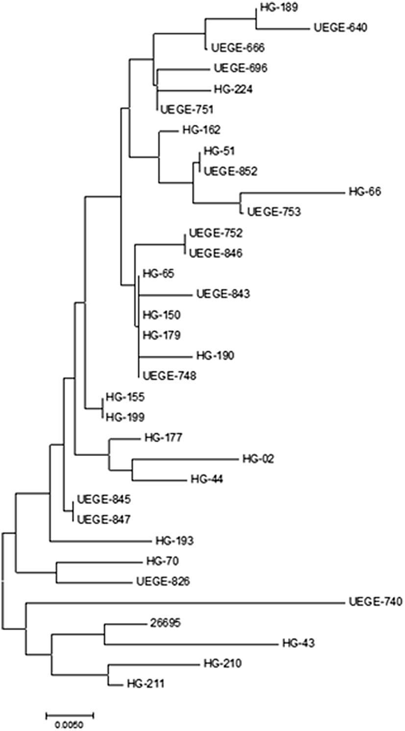 https://cdn.ncbi.nlm.nih.gov/pmc/blobs/125c/6373039/b333b9321b6a/13099_2019_286_Fig5_HTML.jpg