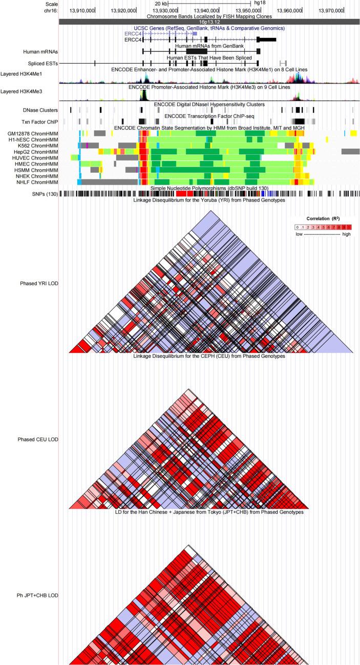 https://cdn.ncbi.nlm.nih.gov/pmc/blobs/125c/9404303/d910af34c996/fonc-12-951193-g003.jpg