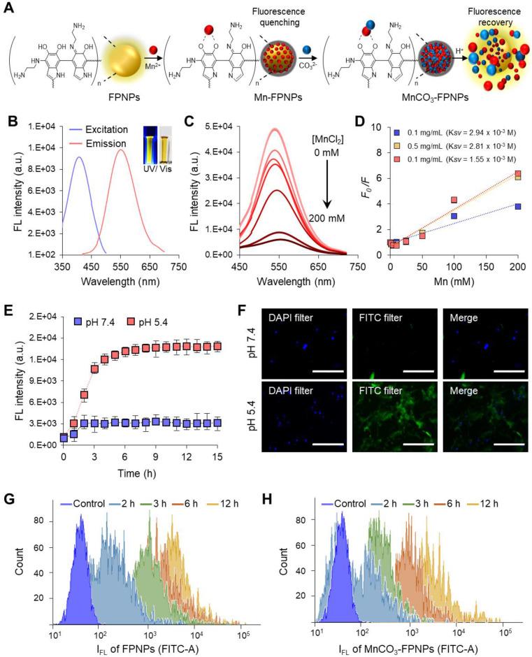 https://cdn.ncbi.nlm.nih.gov/pmc/blobs/125d/9516237/051b1b6bd880/thnov12p6762g003.jpg