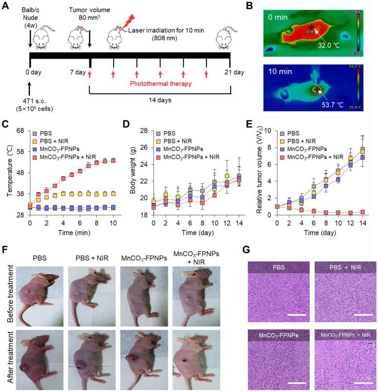 https://cdn.ncbi.nlm.nih.gov/pmc/blobs/125d/9516237/9355b691e741/thnov12p6762g007.jpg