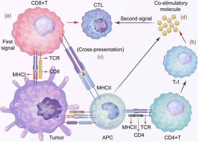 https://cdn.ncbi.nlm.nih.gov/pmc/blobs/125f/9987152/356f4e02fa84/12964_2023_1070_Fig2_HTML.jpg