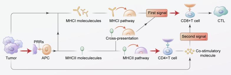 https://cdn.ncbi.nlm.nih.gov/pmc/blobs/125f/9987152/4bfee22ca7ad/12964_2023_1070_Fig1_HTML.jpg
