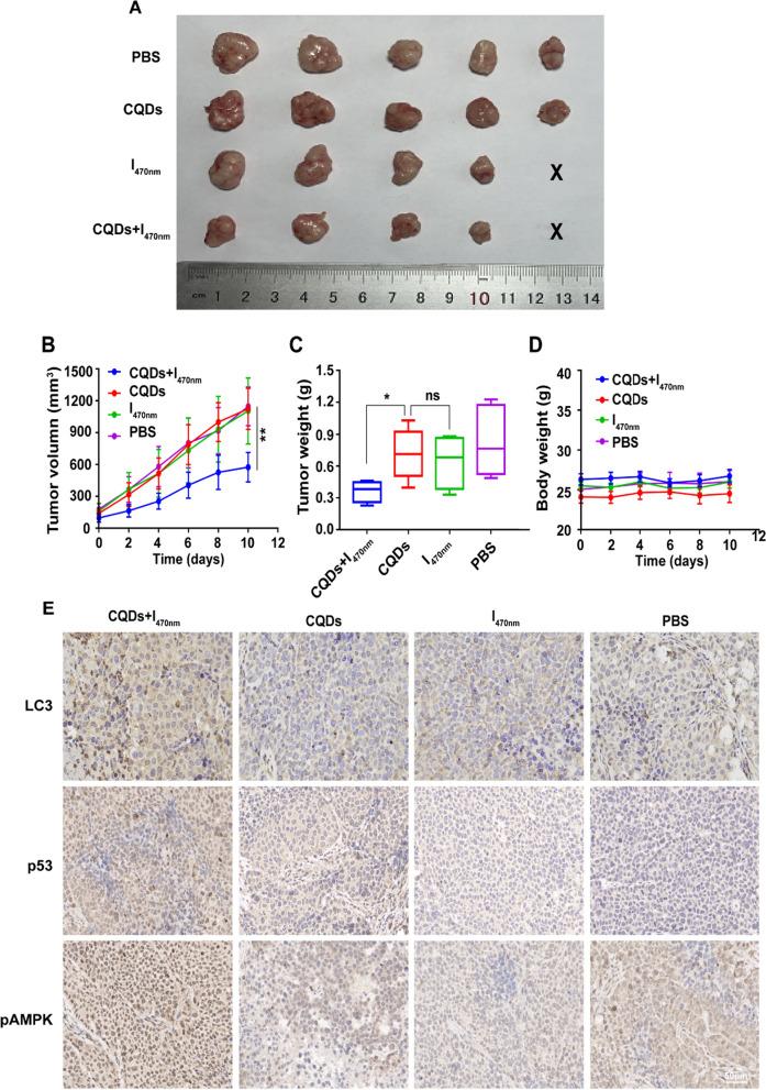 https://cdn.ncbi.nlm.nih.gov/pmc/blobs/1260/8842979/009f21973eb9/12951_2022_1275_Fig8_HTML.jpg