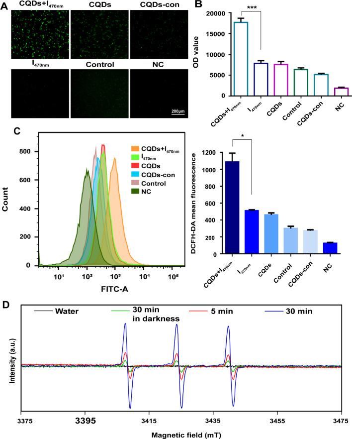 https://cdn.ncbi.nlm.nih.gov/pmc/blobs/1260/8842979/844ea5b2a3f9/12951_2022_1275_Fig6_HTML.jpg