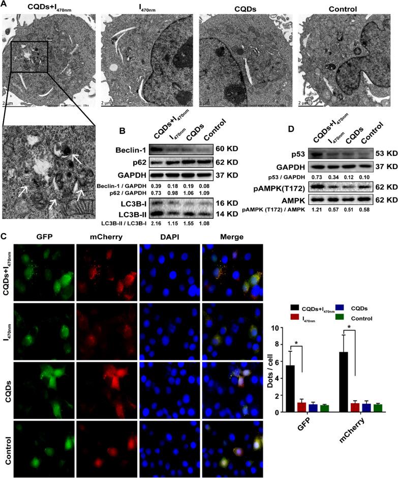 https://cdn.ncbi.nlm.nih.gov/pmc/blobs/1260/8842979/9b6454fbaf62/12951_2022_1275_Fig7_HTML.jpg