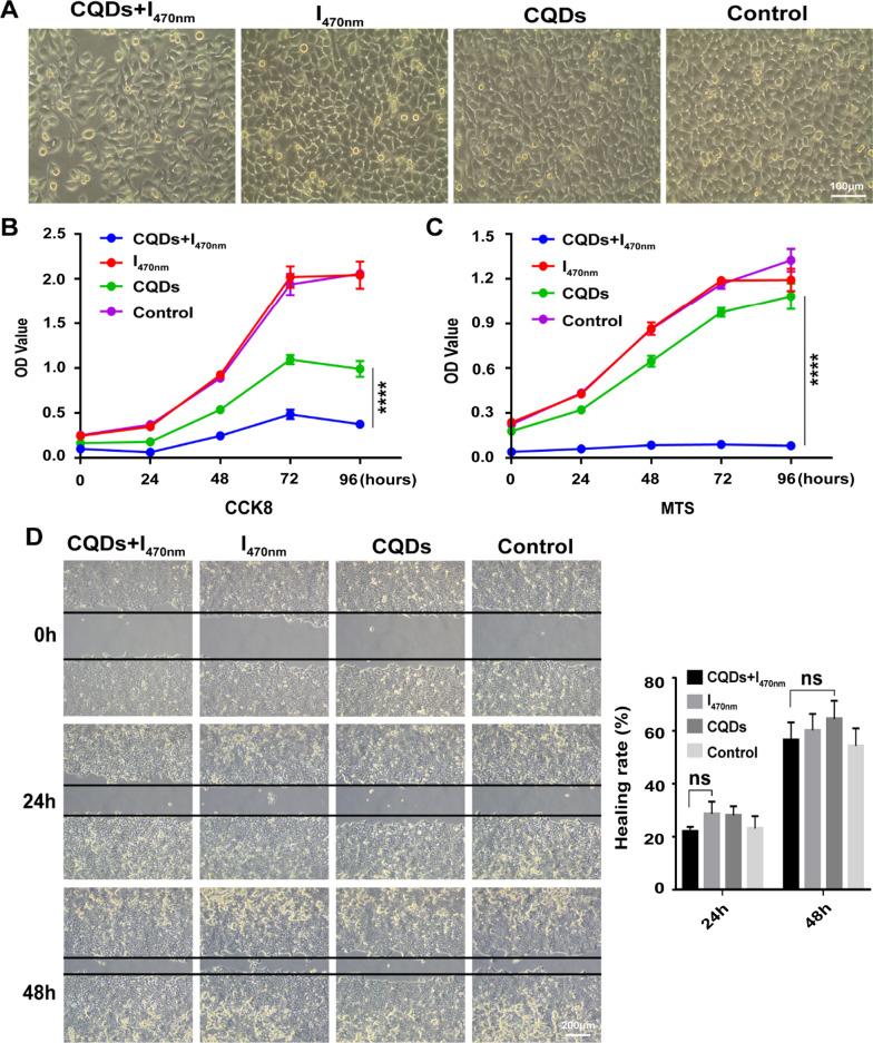 https://cdn.ncbi.nlm.nih.gov/pmc/blobs/1260/8842979/ebde52237942/12951_2022_1275_Fig5_HTML.jpg