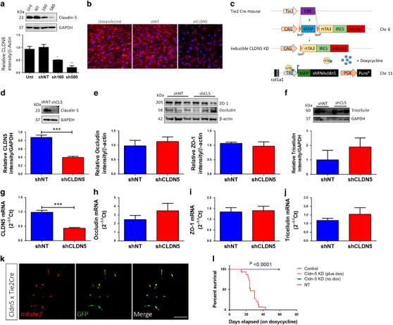 https://cdn.ncbi.nlm.nih.gov/pmc/blobs/1262/6298981/61c9979166f2/41380_2018_149_Fig3_HTML.jpg