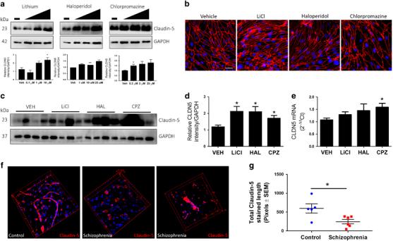 https://cdn.ncbi.nlm.nih.gov/pmc/blobs/1262/6298981/7edd191f4941/41380_2018_149_Fig5_HTML.jpg