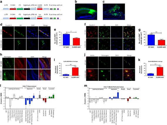 https://cdn.ncbi.nlm.nih.gov/pmc/blobs/1262/6298981/b05d8eadd432/41380_2018_149_Fig2_HTML.jpg