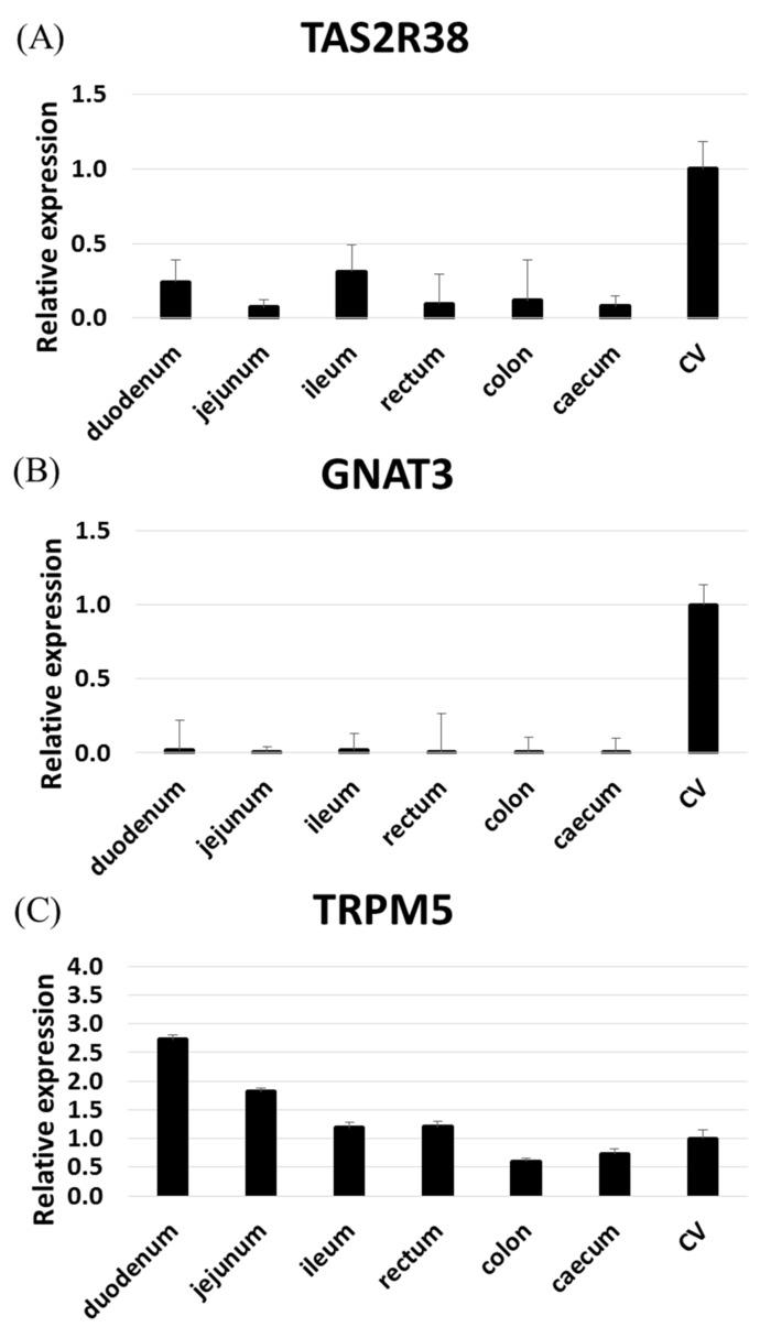 https://cdn.ncbi.nlm.nih.gov/pmc/blobs/1263/7037741/49ba4edf2f81/ijms-21-00902-g002.jpg