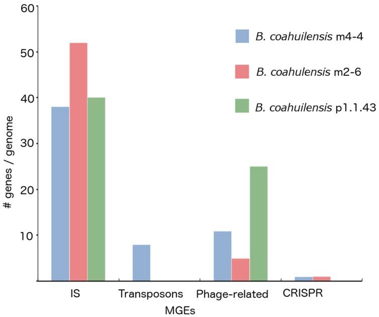 https://cdn.ncbi.nlm.nih.gov/pmc/blobs/1264/4744853/6e611ab03966/fmicb-07-00058-g002.jpg