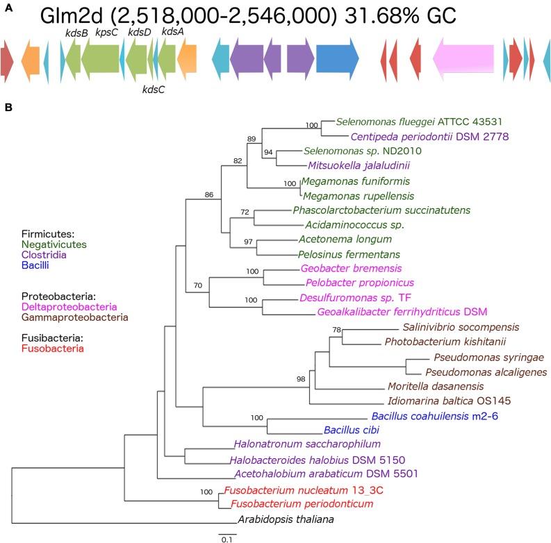 https://cdn.ncbi.nlm.nih.gov/pmc/blobs/1264/4744853/8e4f5c51d103/fmicb-07-00058-g004.jpg