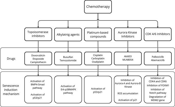 https://cdn.ncbi.nlm.nih.gov/pmc/blobs/1265/11996976/98bff5da828e/13402_2024_1018_Fig2_HTML.jpg