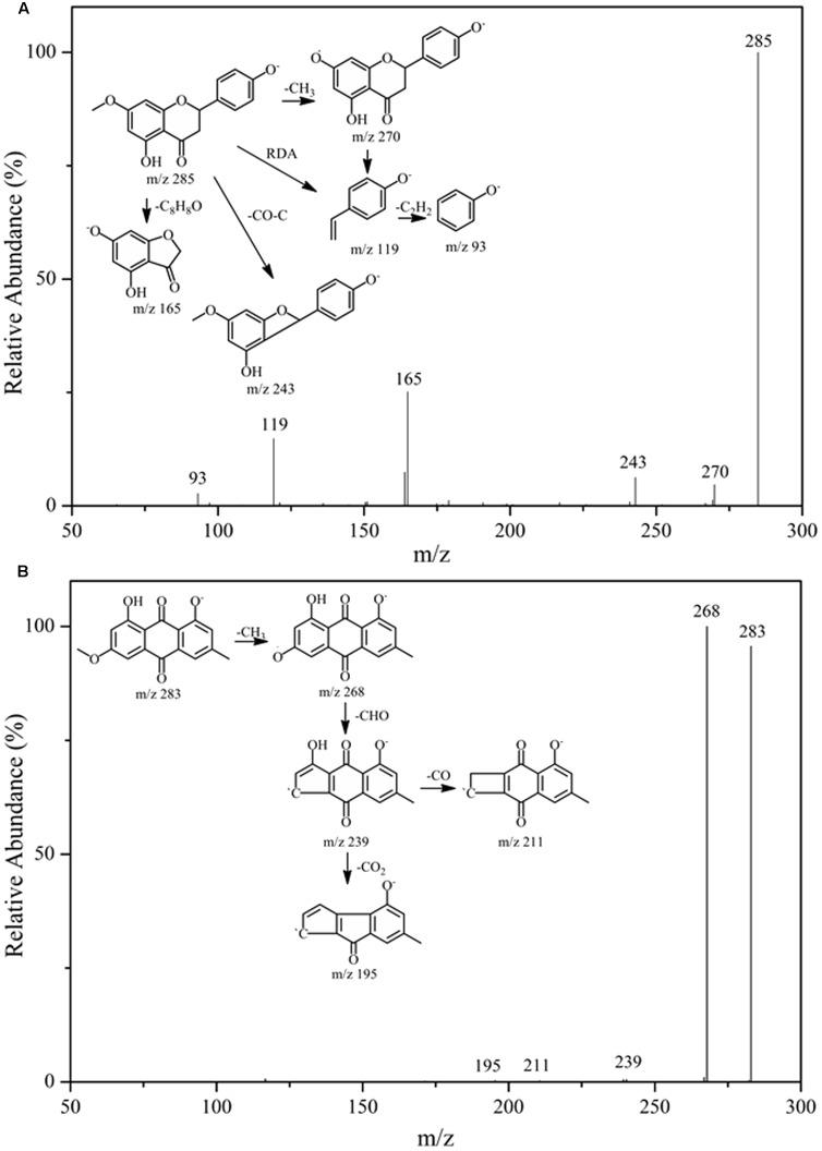 https://cdn.ncbi.nlm.nih.gov/pmc/blobs/1266/5585147/afd1b2157e07/fpls-08-01521-g004.jpg