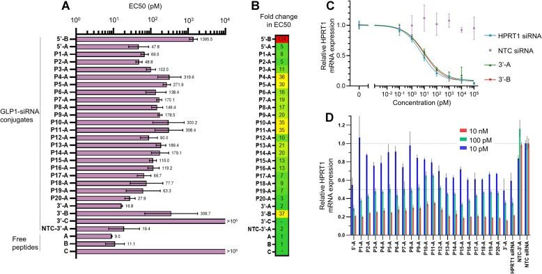 https://cdn.ncbi.nlm.nih.gov/pmc/blobs/1267/10783514/33cf1eb17ff9/gkad1015fig4.jpg