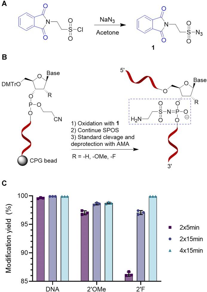 https://cdn.ncbi.nlm.nih.gov/pmc/blobs/1267/10783514/dfe9d53fa5b4/gkad1015fig1.jpg