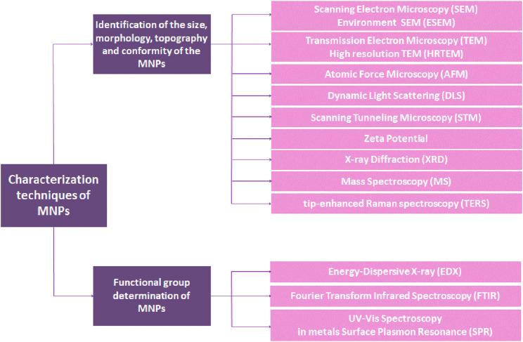 https://cdn.ncbi.nlm.nih.gov/pmc/blobs/1267/11351095/891842d4a07c/fchem-12-1398979-g003.jpg