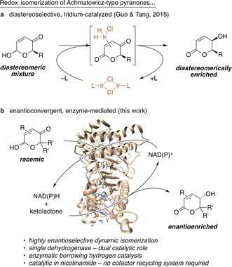 https://cdn.ncbi.nlm.nih.gov/pmc/blobs/1269/6468324/656f58cd27db/ANIE-57-12151-g001.jpg