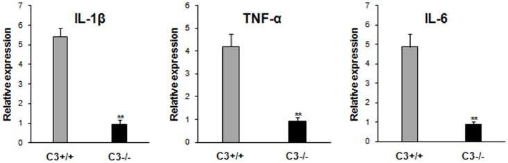 https://cdn.ncbi.nlm.nih.gov/pmc/blobs/126a/3688892/99ba5198376b/pone.0066334.g002.jpg