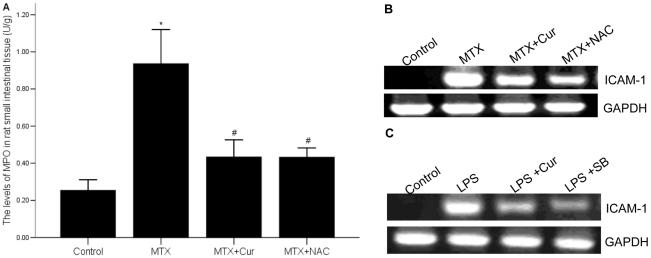 https://cdn.ncbi.nlm.nih.gov/pmc/blobs/126b/2945766/0f555b50dd0c/pone.0012969.g003.jpg