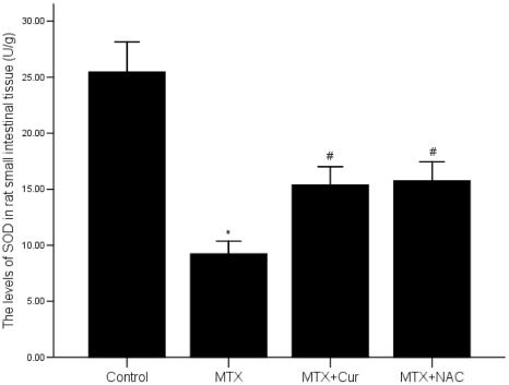 https://cdn.ncbi.nlm.nih.gov/pmc/blobs/126b/2945766/3ed335f9ed89/pone.0012969.g006.jpg