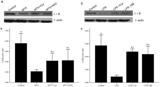 https://cdn.ncbi.nlm.nih.gov/pmc/blobs/126b/2945766/e7df9adfb523/pone.0012969.g009.jpg