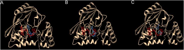 https://cdn.ncbi.nlm.nih.gov/pmc/blobs/126b/8239728/877a51783056/gr3.jpg