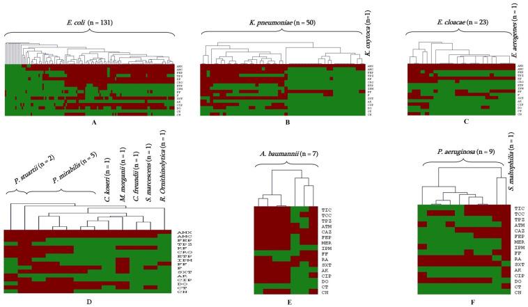 https://cdn.ncbi.nlm.nih.gov/pmc/blobs/126d/10376901/d2aabfdb42d0/antibiotics-12-01132-g002.jpg