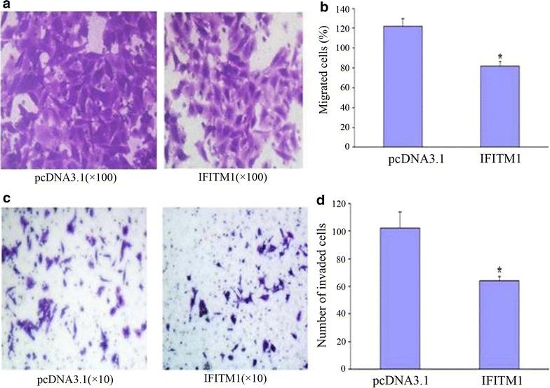 https://cdn.ncbi.nlm.nih.gov/pmc/blobs/126e/5633880/3658128e41ed/12935_2017_456_Fig4_HTML.jpg