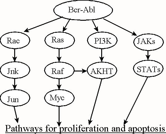 https://cdn.ncbi.nlm.nih.gov/pmc/blobs/126f/1373613/066c3b6ac0af/1742-4682-3-5-2.jpg