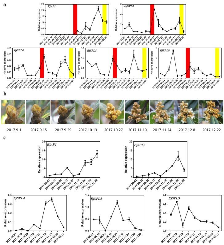 https://cdn.ncbi.nlm.nih.gov/pmc/blobs/126f/6981807/3fb2b1e298dd/ijms-21-00248-g005.jpg