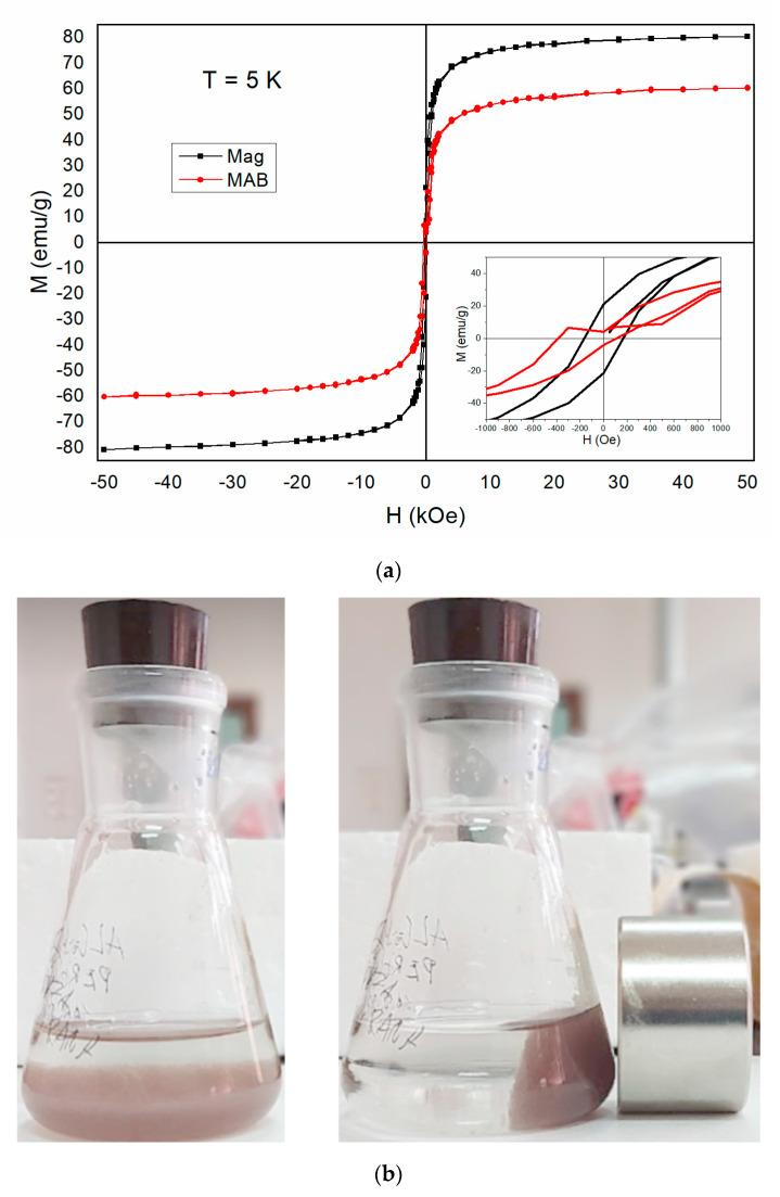 https://cdn.ncbi.nlm.nih.gov/pmc/blobs/126f/9269335/bab49ff67235/polymers-14-02614-g004.jpg
