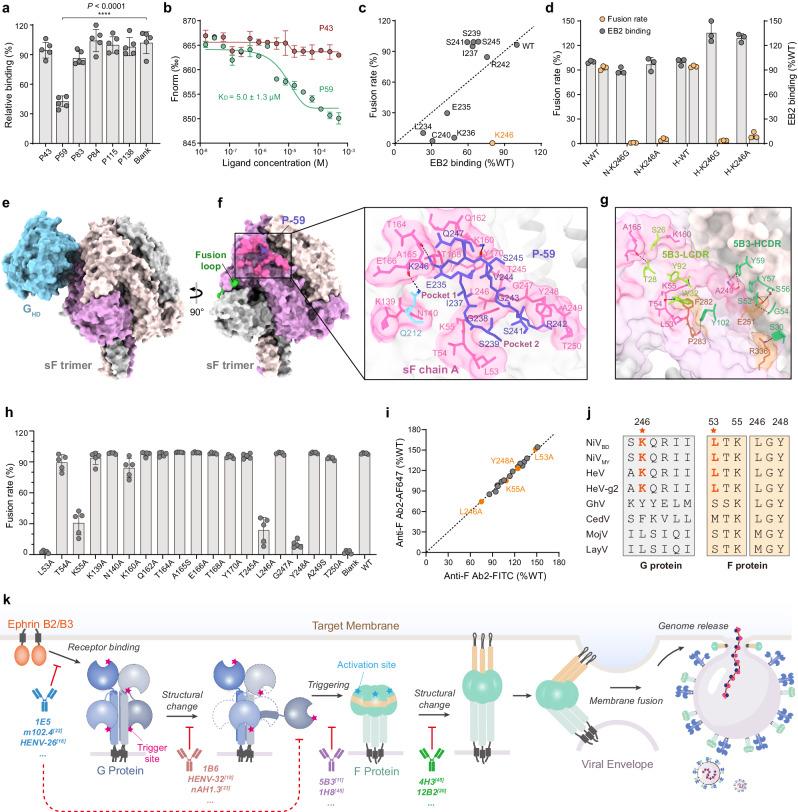 https://cdn.ncbi.nlm.nih.gov/pmc/blobs/1271/11109247/745dbad90ef8/41467_2024_48601_Fig6_HTML.jpg