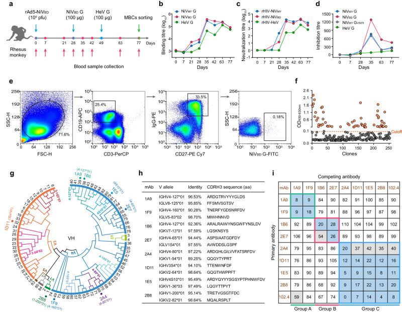 https://cdn.ncbi.nlm.nih.gov/pmc/blobs/1271/11109247/ab2f3f434a13/41467_2024_48601_Fig1_HTML.jpg