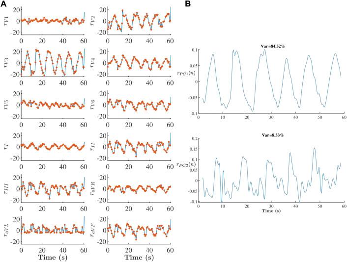 https://cdn.ncbi.nlm.nih.gov/pmc/blobs/1272/9527347/08ab3b266612/fphys-13-976925-g008.jpg